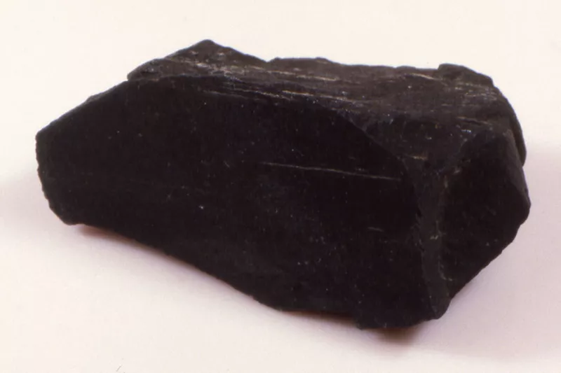 Torbanite : charbon provenant de l’accumulation au Permien d’une espèce ancienne proche de Botryococcus braunii